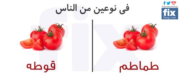 11200599_1628828584002546_3442257846708464936_n