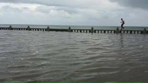 12009601_10154008699279316_271713183271739564_n