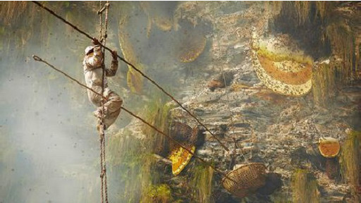 140915101713_quickiest_jobs_in_the_world_512x288_bbc_nocredit