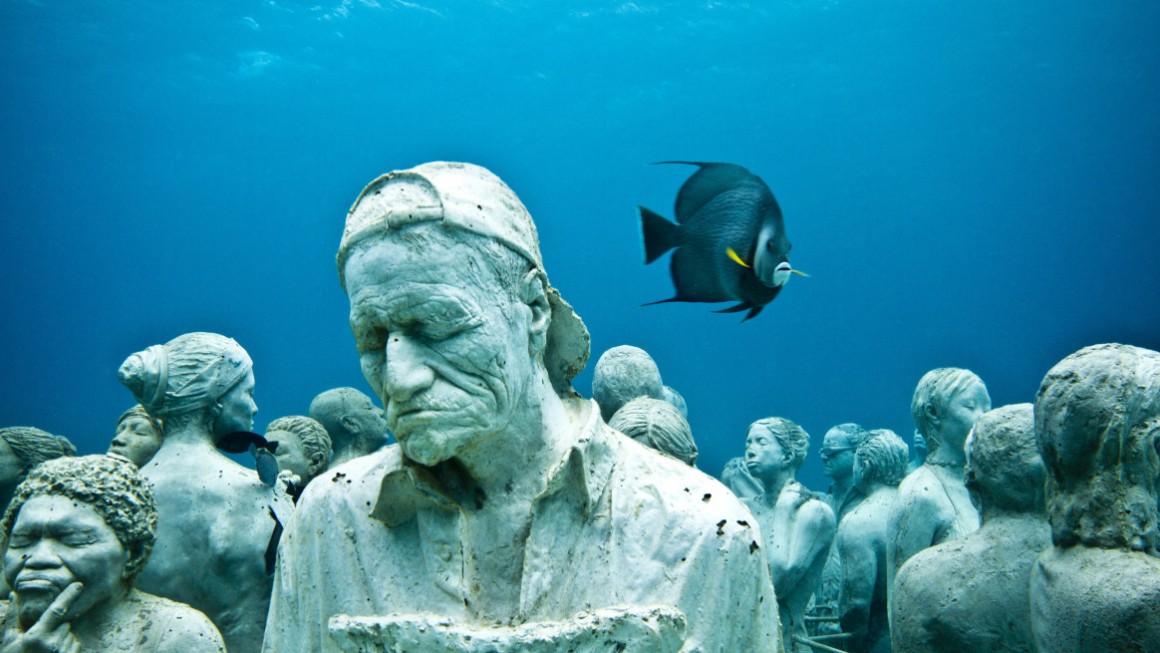 The Silent Evolution, 2010