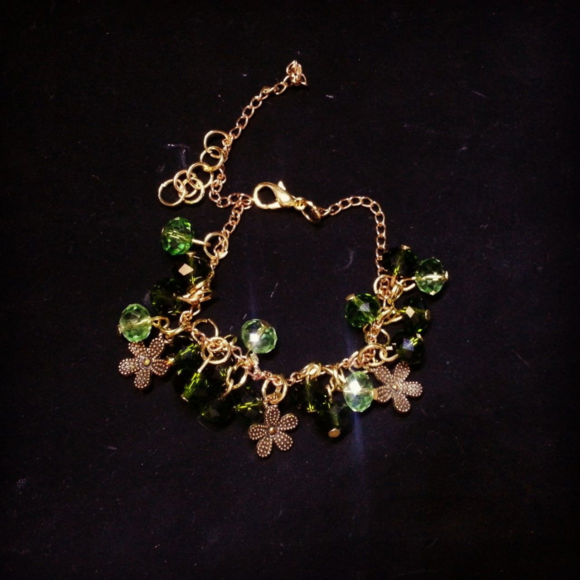 15146634_668239786690193_380155408_o