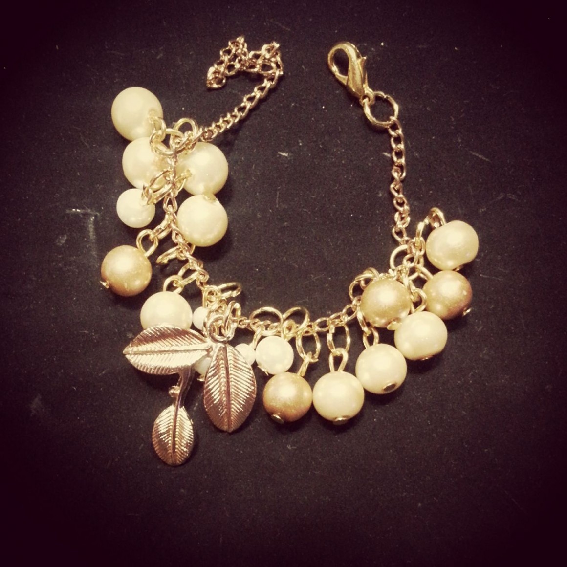 15152882_668239760023529_1044602027_o