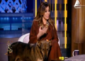 40dbb82d725729c1d9db627166b9283f