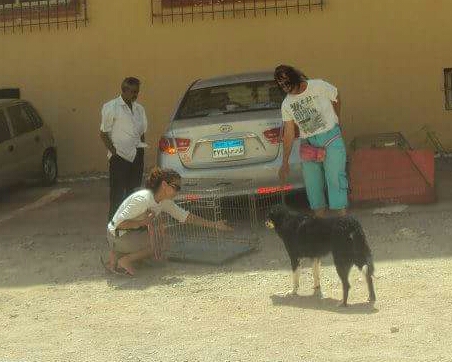 FB_IMG_1432627227163-1