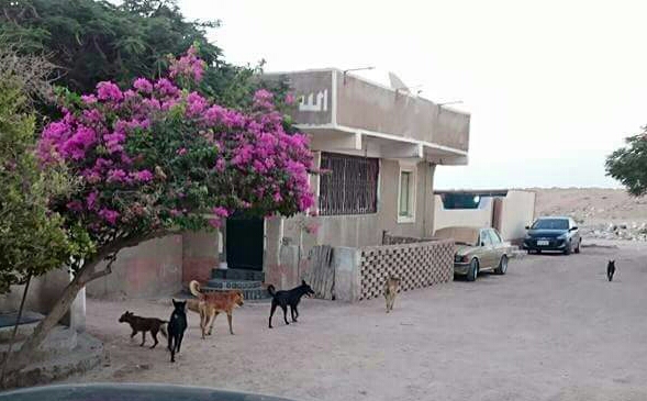 FB_IMG_1437804851817-1