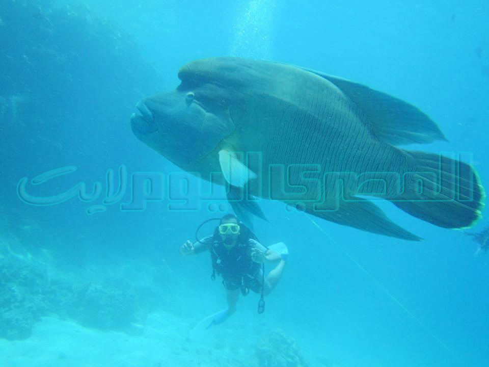 FB_IMG_1461565769562