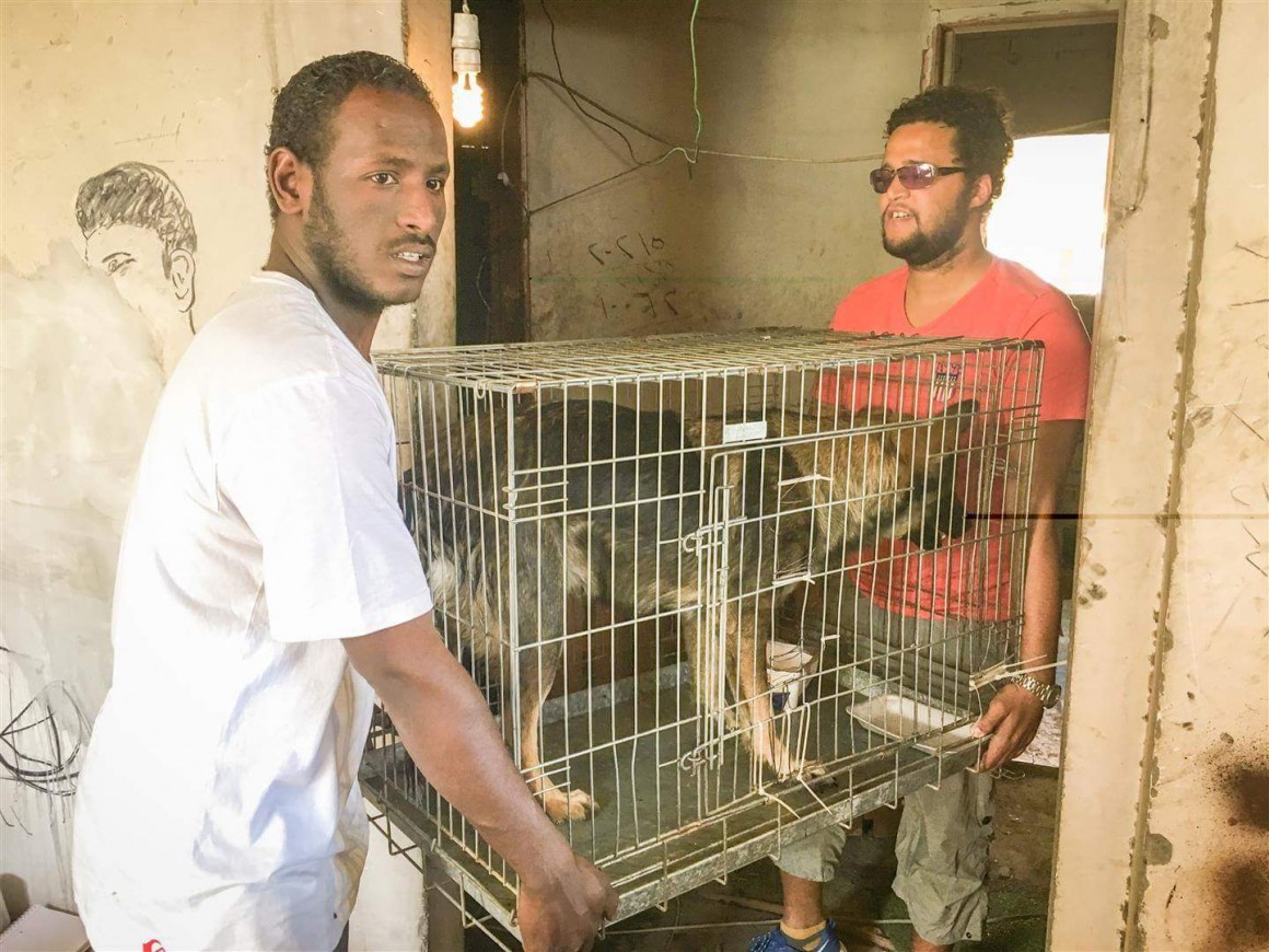 FB_IMG_1488718502969