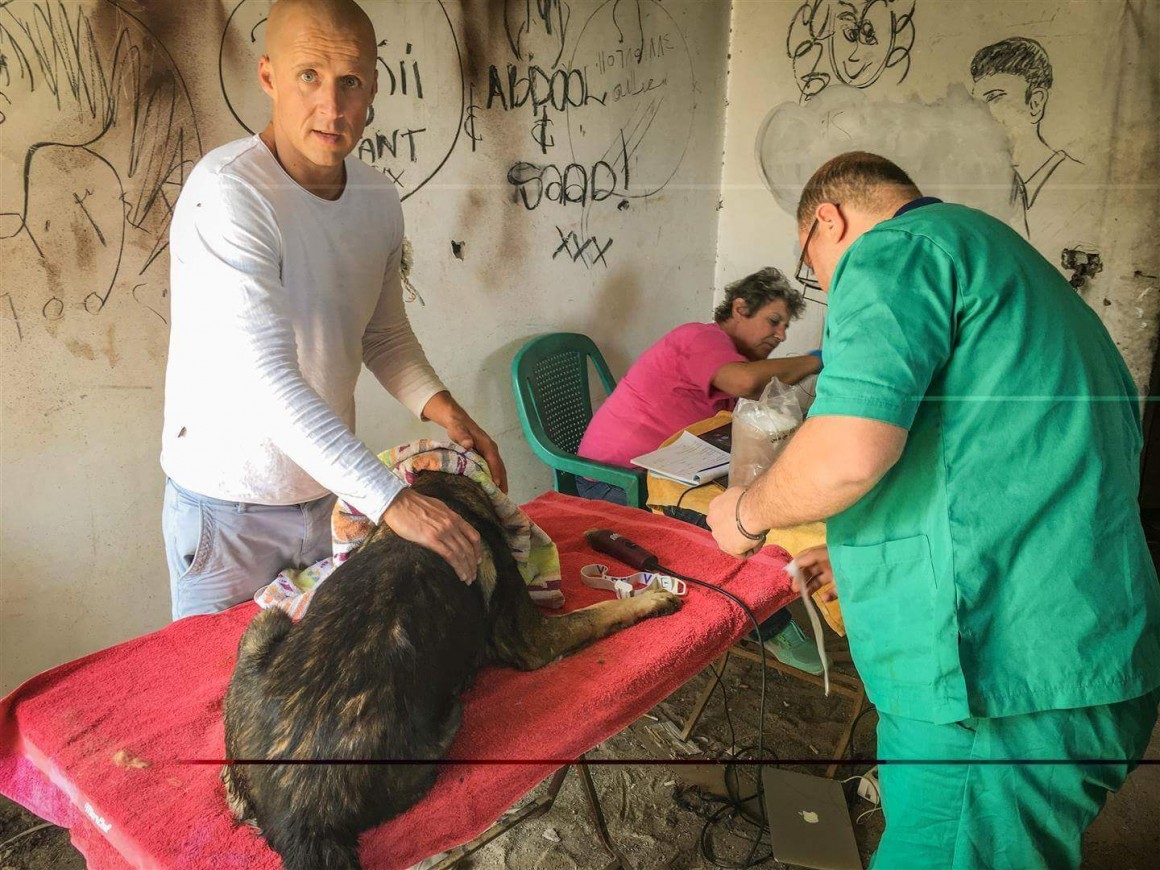 FB_IMG_1488718511741