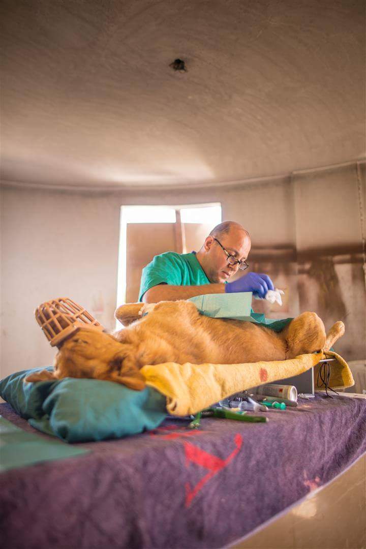 FB_IMG_1488718514712