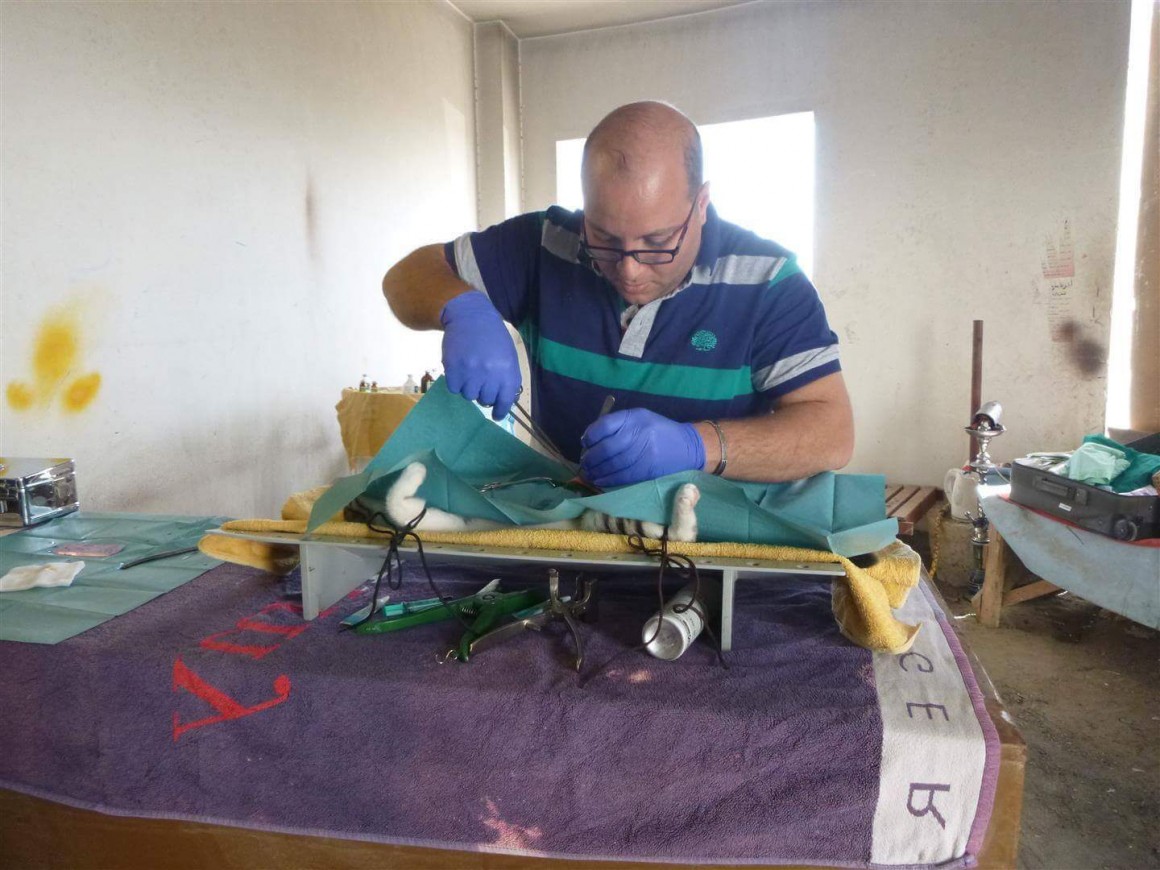 FB_IMG_1488718517673