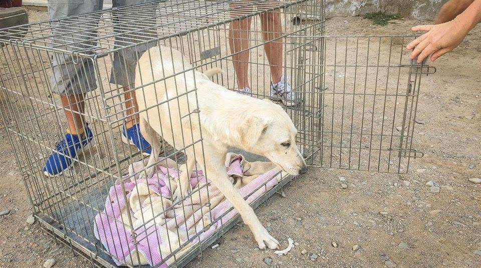 FB_IMG_1488718523195