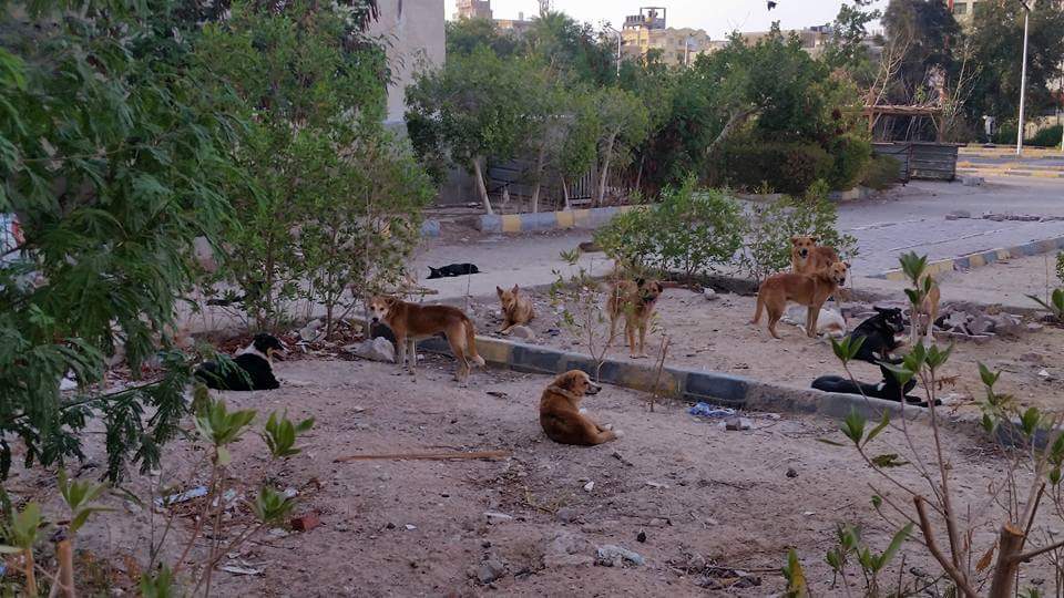 FB_IMG_1502297750402