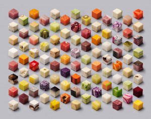 food-cubes-raw-lernert-sander-volkskrant-1