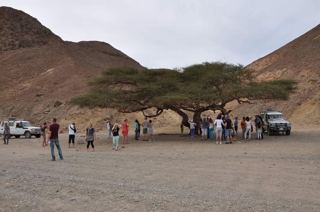 received_1240875905925955