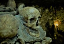 هياكل عظمية