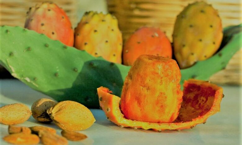 هل التين الشوكي يُخلي بنظام إنقاص الوزن؟ استشاري تغذية تجيب