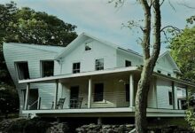 به أكثر من نصف مليون كائن حي.. صدمة لزوجين اشتريا منزلًا جديدًا