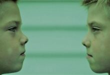 توأم متطابق