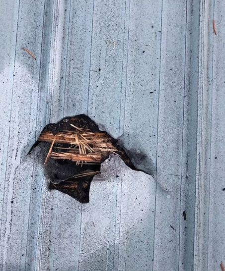 %D8%AB%D8%B5%D9%84%D9%81%D8%B5%D8%AB%D9%82%D8%A7%D8%BA