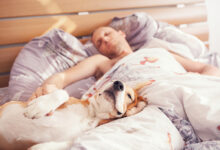 4 أسباب تجعلك لا تنام في نفس السرير الذي ينام فيه حيوانك الأليف
