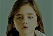 العدل جروب تبحث عن شبيهة نيللي كريم