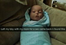 مادة في مدارس كندا لتعليم الأطفال تربية الرضع