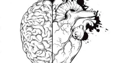 تواصل بين القلب والمخ… الاهتمام بصحة القلب يحسن مزاجك