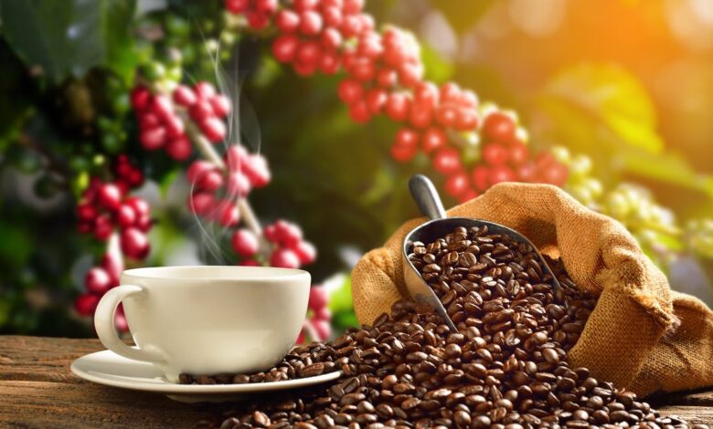 تجنب هذا النوع من القهوة إذا كنت تعاني من مرض السكري
