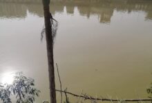 مع تغيّر لون النيل... تعرّف على أسباب تغيّر لون مياه الأنهار