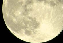 الأيام البيض