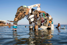 «مفيش زيه في مصر» تعرف على أول متحف تحت البحر في دهب لحماية الشعب المرجانية