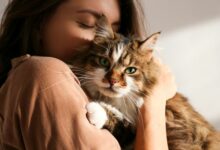 جدري القرود