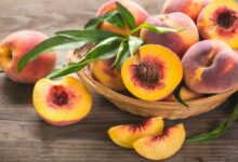 مع بدء موسم الخوخ تعرف على أهم فوائده.. يساعد على التخسيس ويعزز صحة القلب